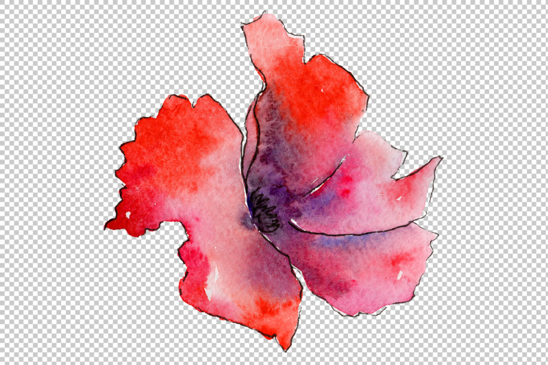 light-red-poppy-png-watercolor-flower-set