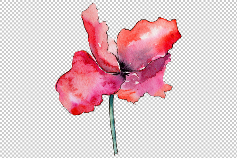 light-red-poppy-png-watercolor-flower-set