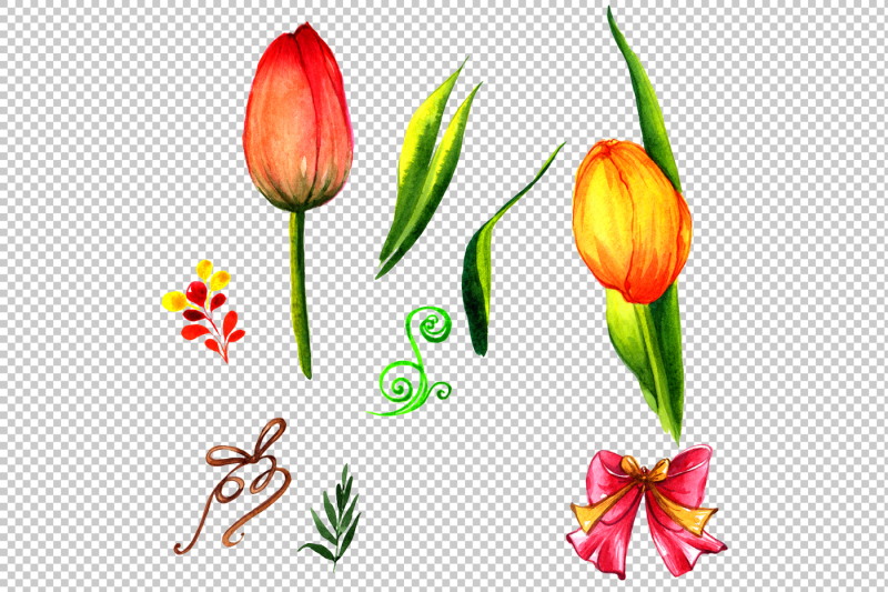 summer-colorful-tulips-png-watercolor-set