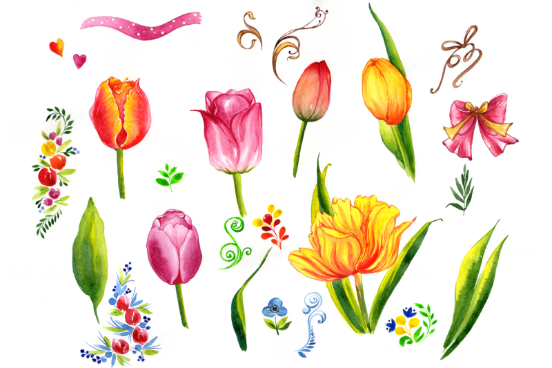 summer-colorful-tulips-png-watercolor-set