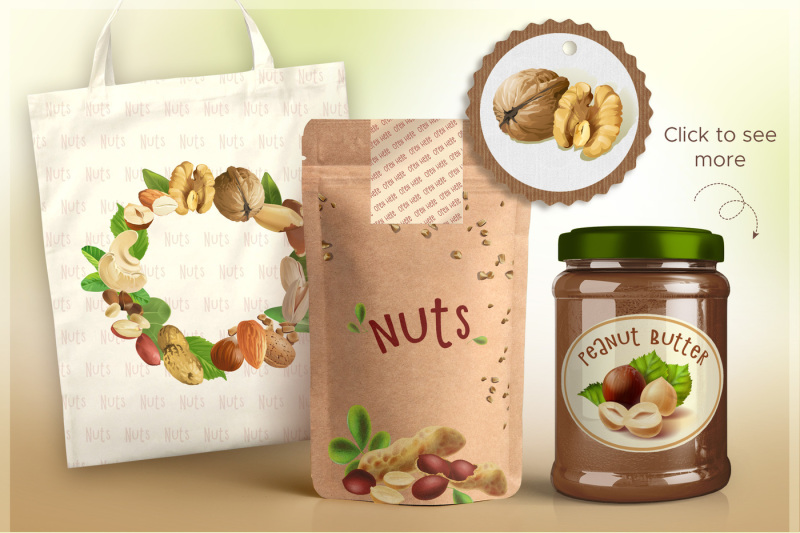 collection-of-nuts-vector-illustration