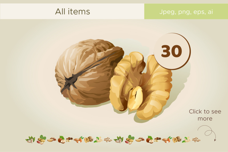 collection-of-nuts-vector-illustration