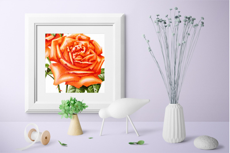 roses-orange-roses