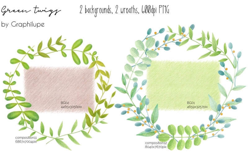 green-twigs-hand-drawn-illustration-kit