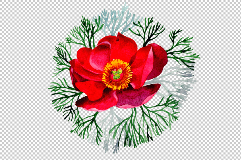 bloom-red-roses-watercolor-png-set