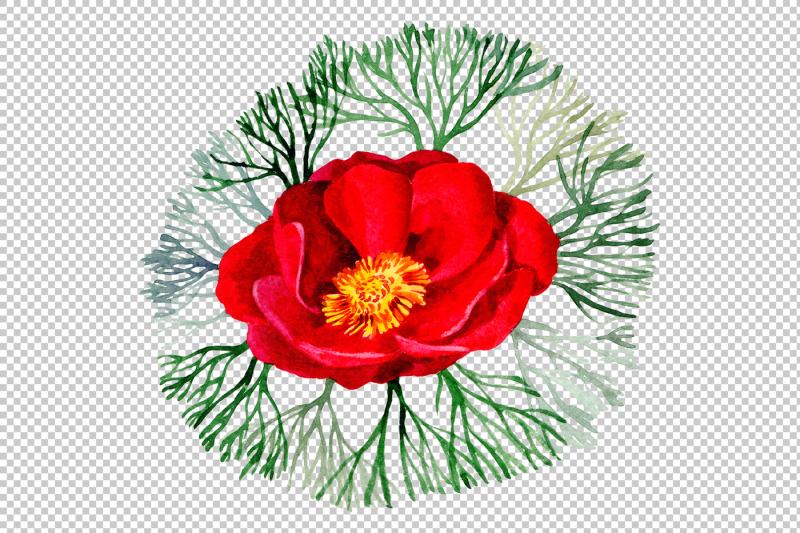 bloom-red-roses-watercolor-png-set