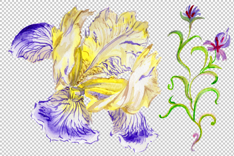 picturesque-blue-irises-watercolor-png-set