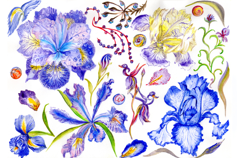 picturesque-blue-irises-watercolor-png-set