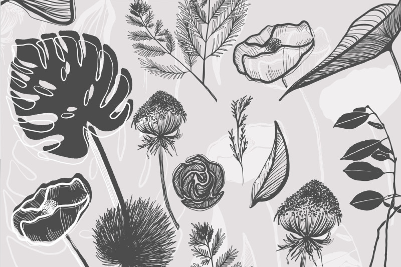 botanical-garden-illustration-graphics