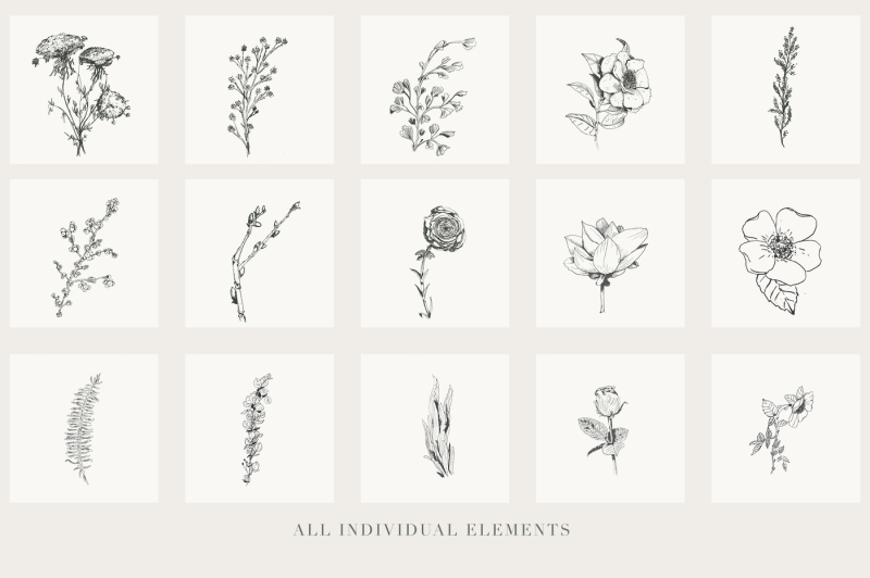 botanical-illustrations-vol-1