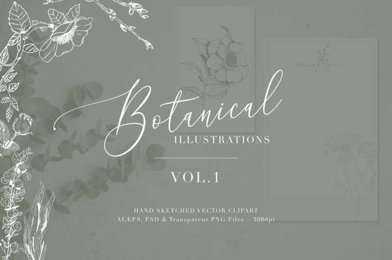 botanical-illustrations-vol-1