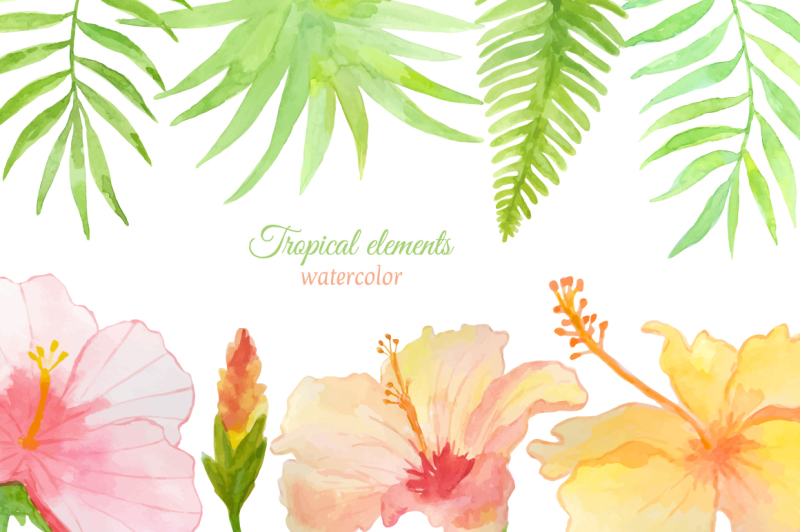 tropical-watercolor-set-2-hibiscus