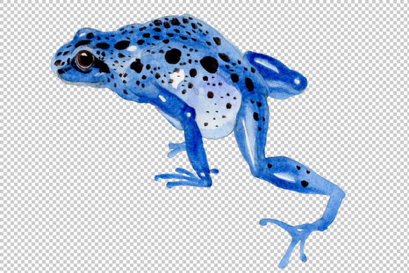 blue-frog-png-watercolor-set