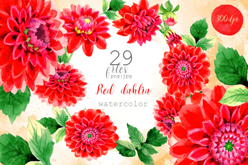 beautiful-red-dahlia-png-watercolor-set