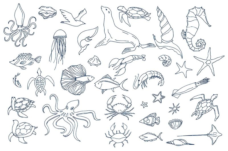 vector-sea-creatures