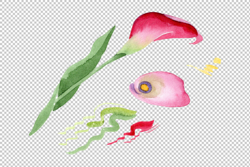 pink-calla-flower-png-watercolor-set