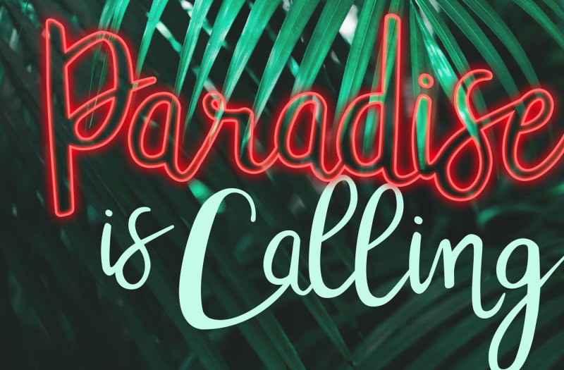 tropicalling-a-playful-script-font