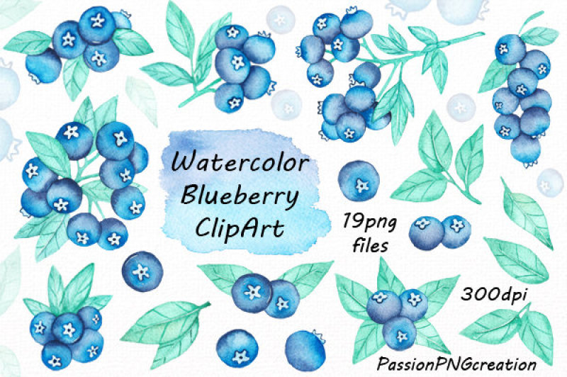 watercolor-blueberry-clipart