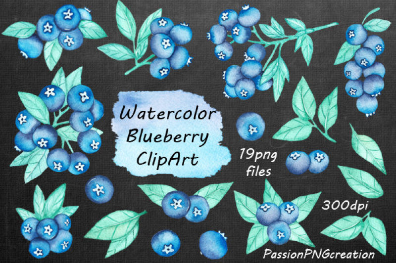 watercolor-blueberry-clipart