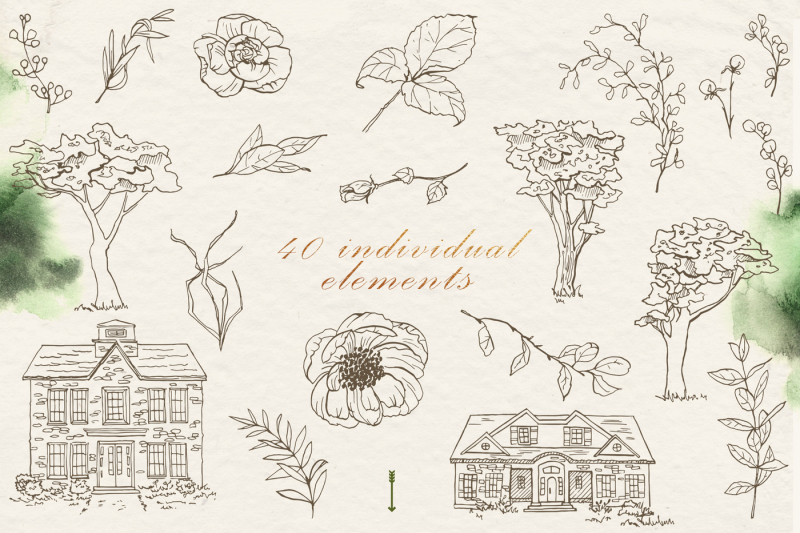 vector-flowers-and-village-houses