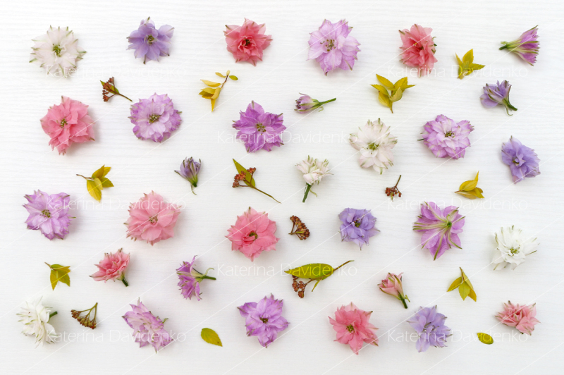 flowers-pattern-floral-background