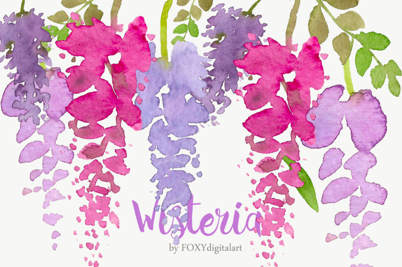 watercolor-flower-clipart-wisteria