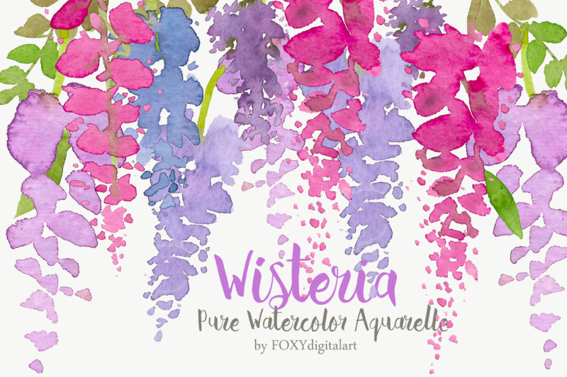 watercolor-flower-clipart-wisteria