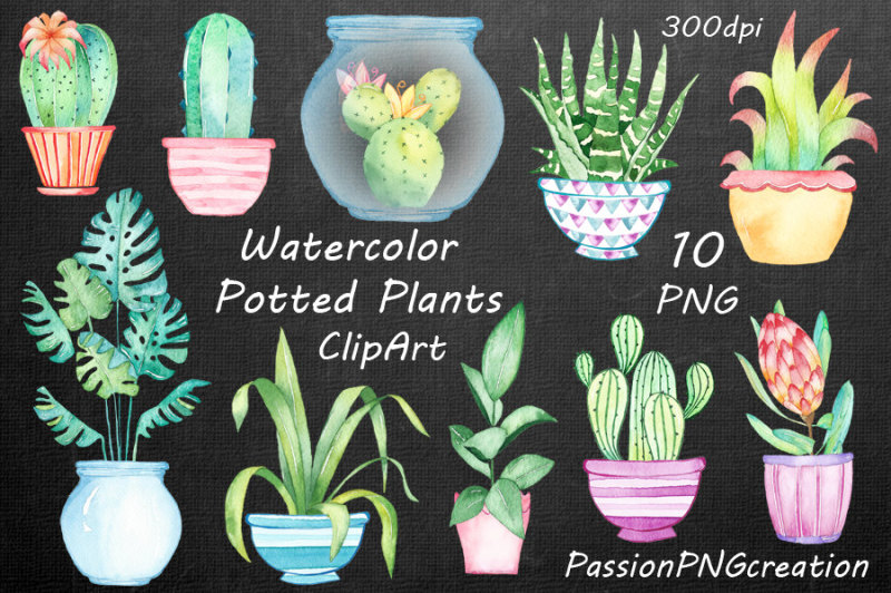 watercolor-potted-plants-clipart
