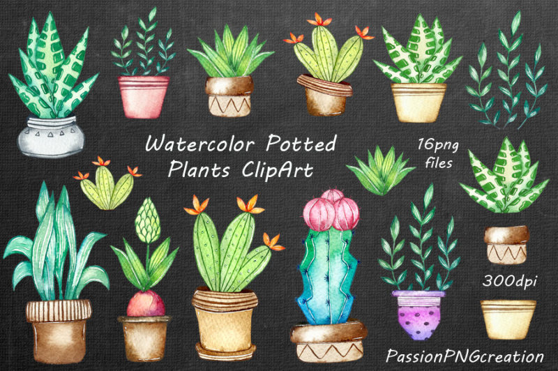 watercolor-potted-plants-clipart