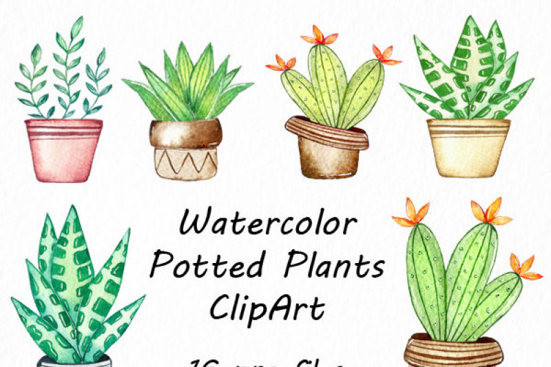 watercolor-potted-plants-clipart