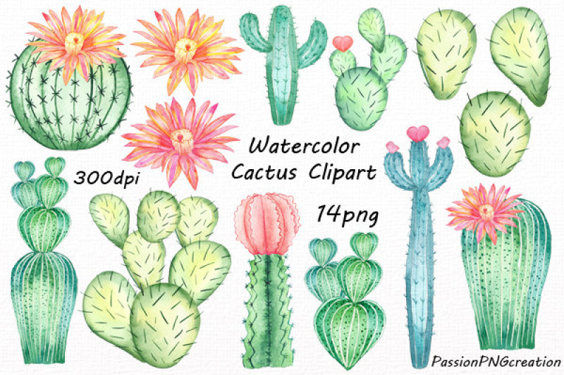 watercolor-cactus-clipart