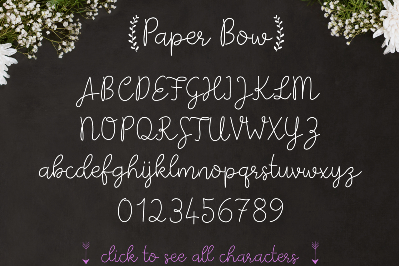 paper-bow-script-font-family