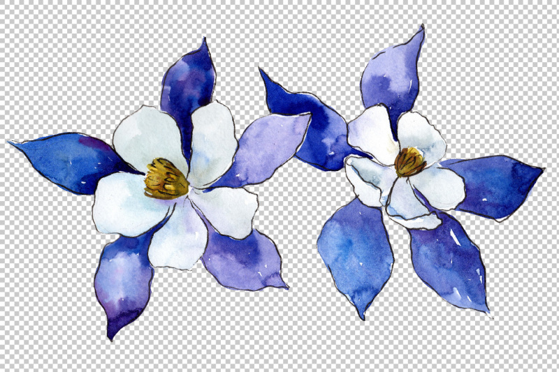 blue-aquilegia-flower-png-watercolor-set
