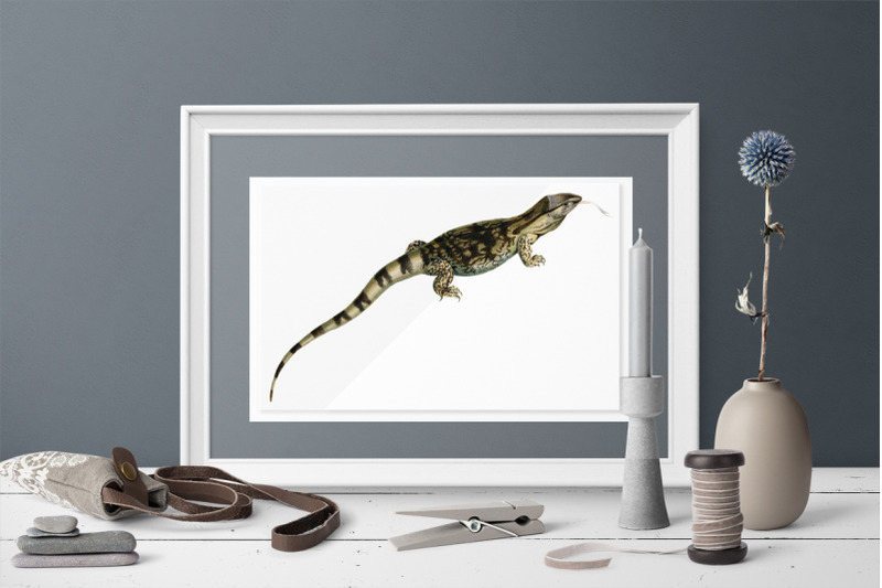 lizard-monitor-clipart