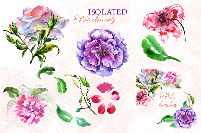 elegant-peony-png-watercolor-flower-set