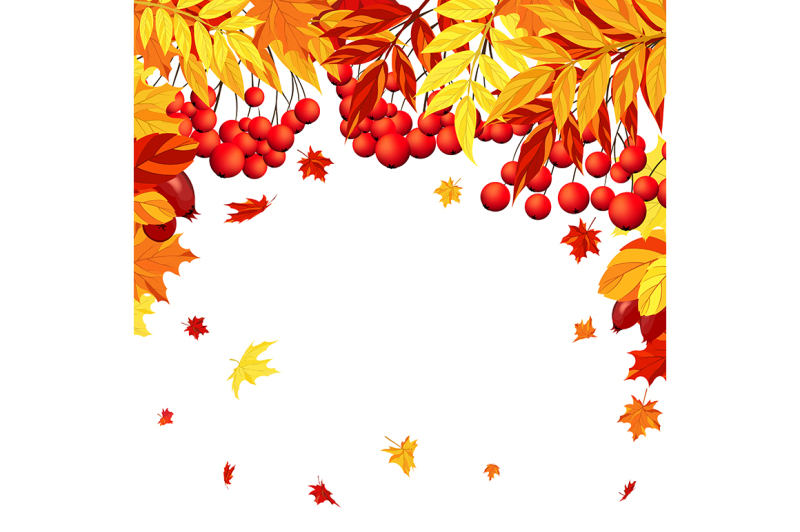 6-autumn-leaves-frames