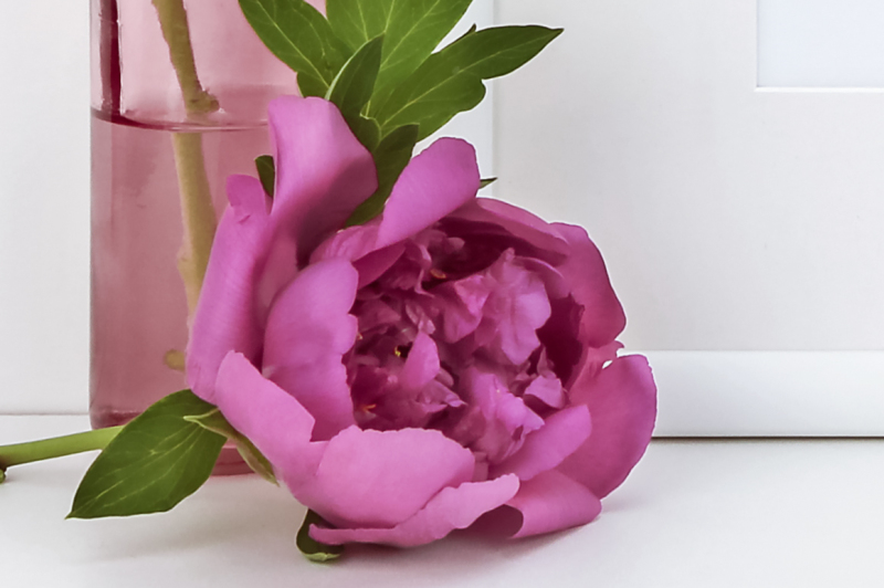 square-frame-mockup-with-peony