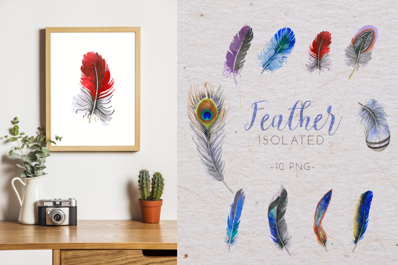 feather-collection-png-watercolor-set