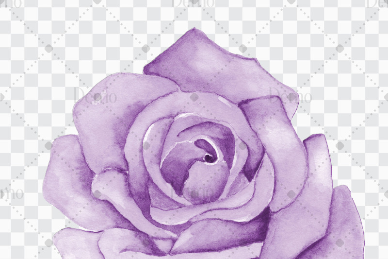 100-hand-painted-watercolor-romantic-roses-clip-arts