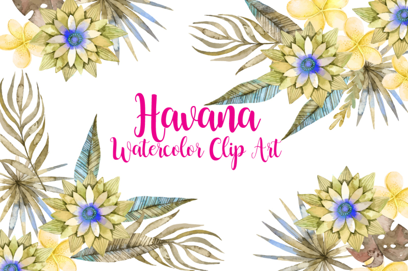 havana-watercolor-floral-clip-art
