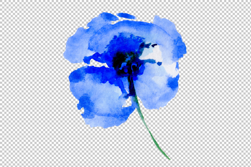 gently-blue-poppies-png-watercolor-set