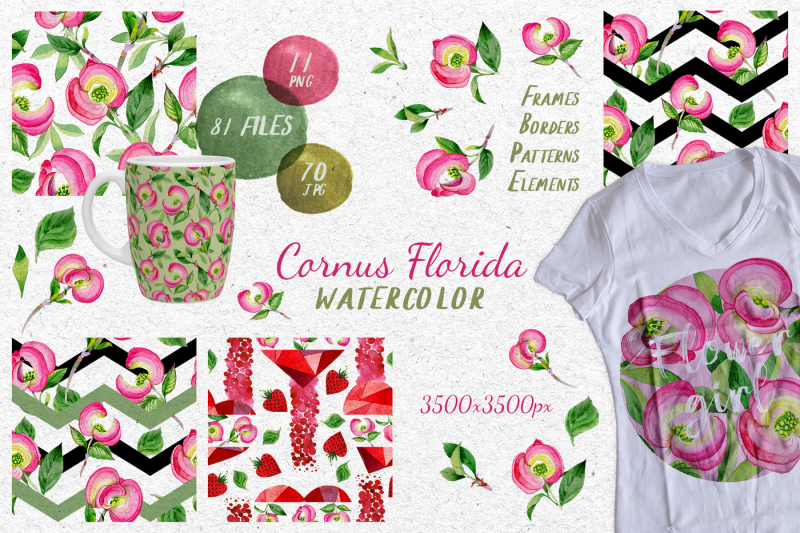 cornus-florida-flowers-png-watercolor-set-nbsp