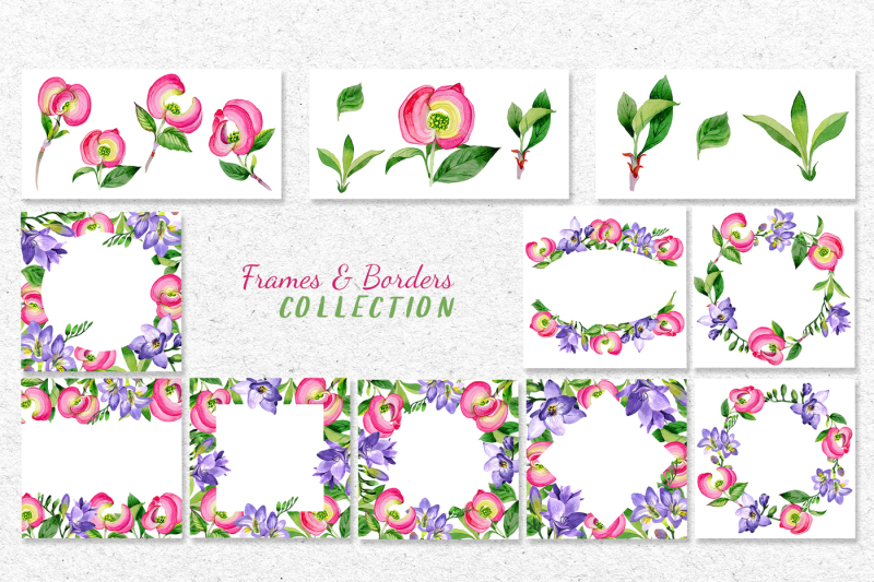 cornus-florida-flowers-png-watercolor-set-nbsp