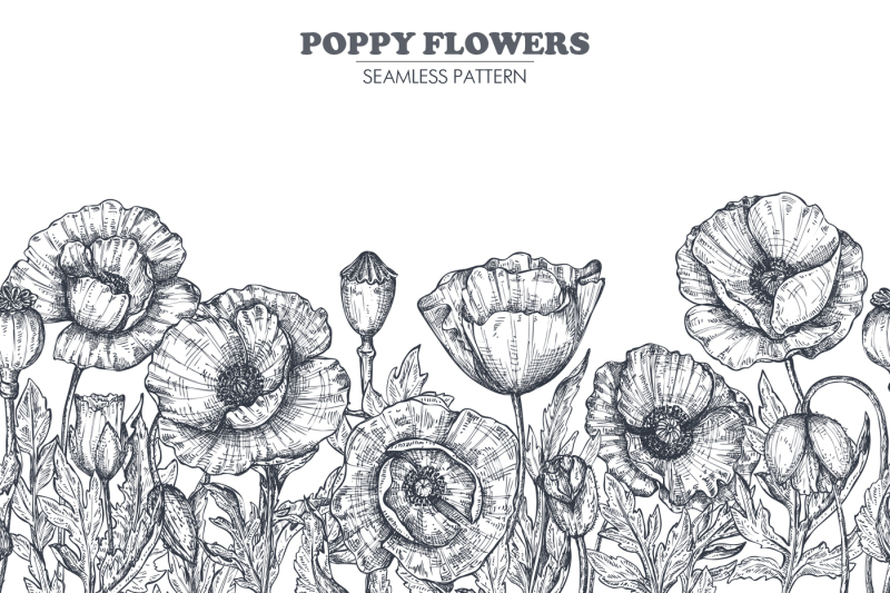 vector-poppy-flowers-set