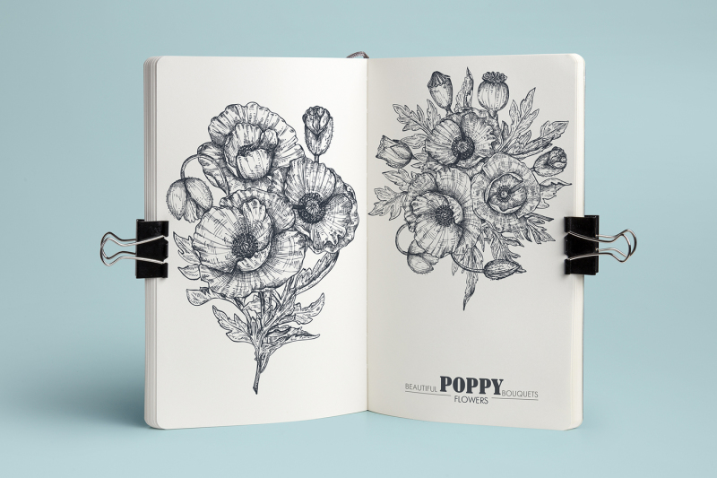 vector-poppy-flowers-set