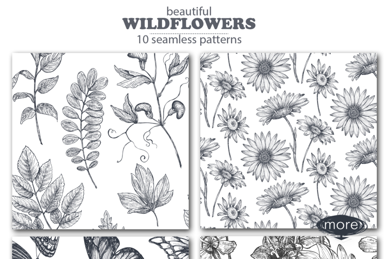 vector-insects-and-wildflowers-set