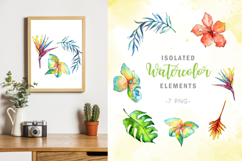 tropical-plant-png-watercolor-set