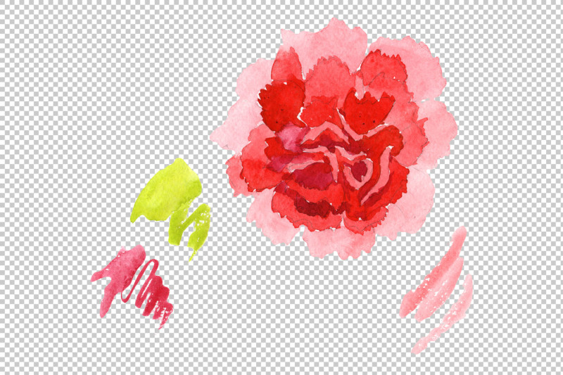 red-dianthus-png-watercolor-flower-set