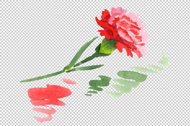 red-dianthus-png-watercolor-flower-set