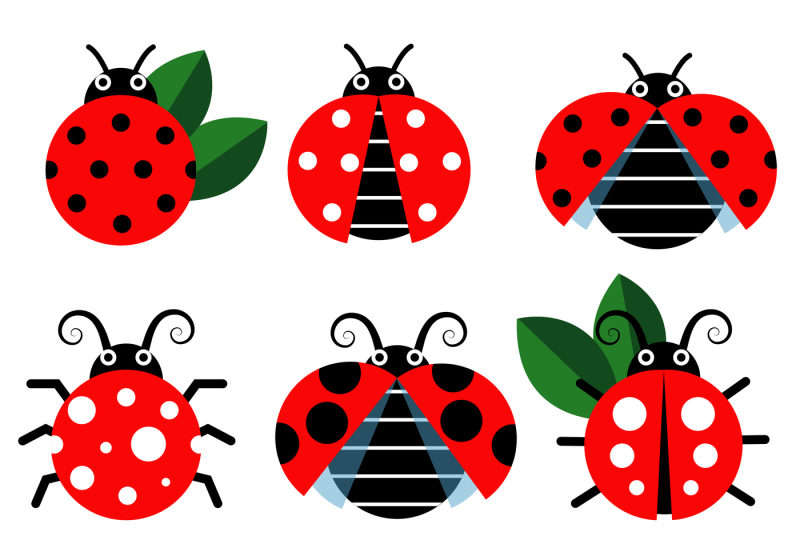 cute-ladybug-vector